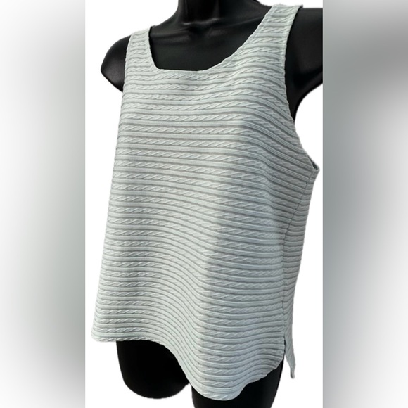 Express Tops - Express | NWOT Wide Sheer Sleeveless Blouse. Light horizontal stripes